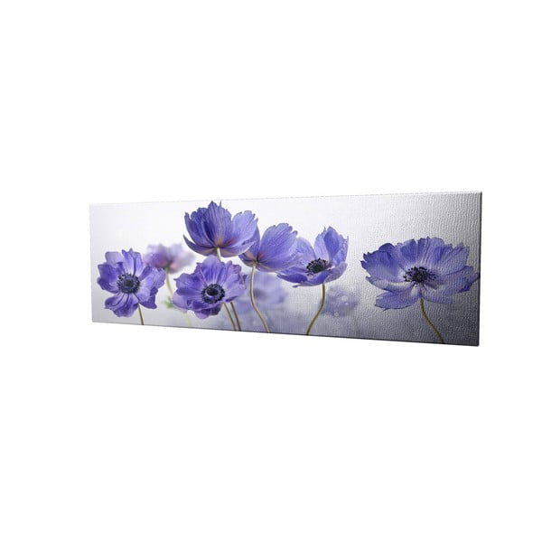Obraz na plátne Violet, 80 × 30 cm