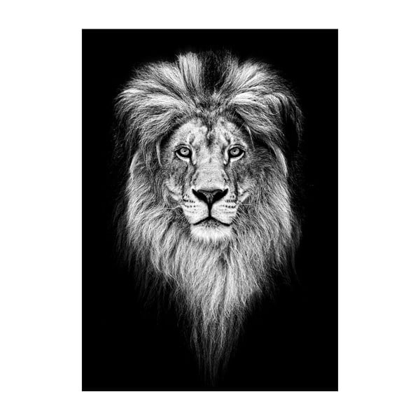 Plagát Imagioo King Of Jungle, 40 × 30 cm