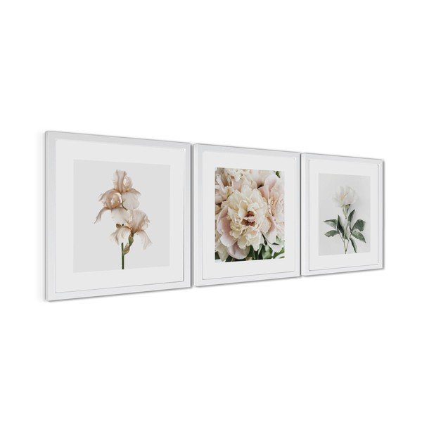 Tlačené obrazy v súprave 3 ks s rámom 30x30 cm Posy – Styler-image-4