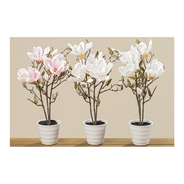 Sada 3 kvetináčov s umelými magnóliami Boltze, výška 50 cm