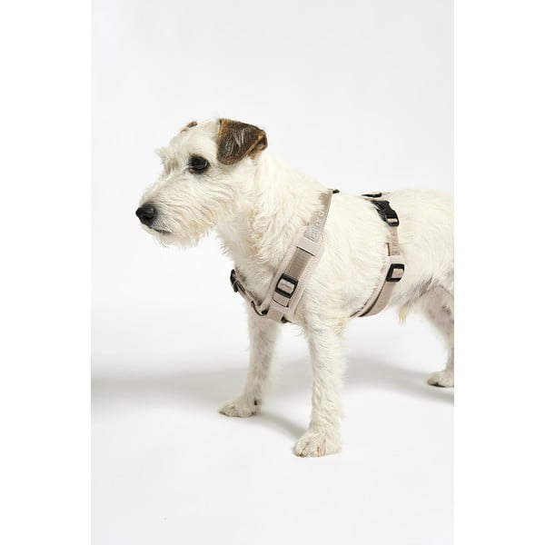 Béžový postroj veľkosť L dĺžka 42 cm Modena Greige L – MiaCara-image-4