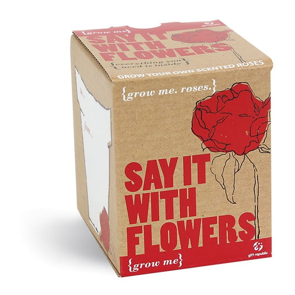 Pestovateľský set so semienkami ruže Gift Republic Say It With Flowers