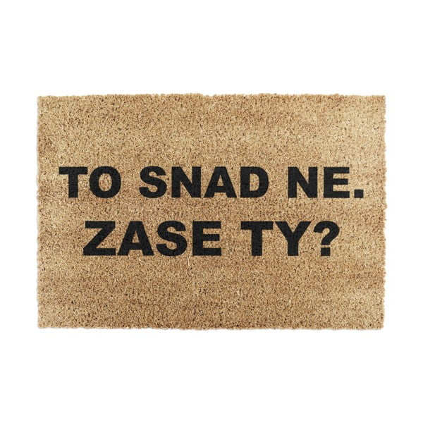 Rohožka z kokosového vlákna 40x60 cm Zase Ty? – Artsy Doormats
