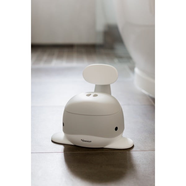 Sivý nočník - Kindsgut-image-1