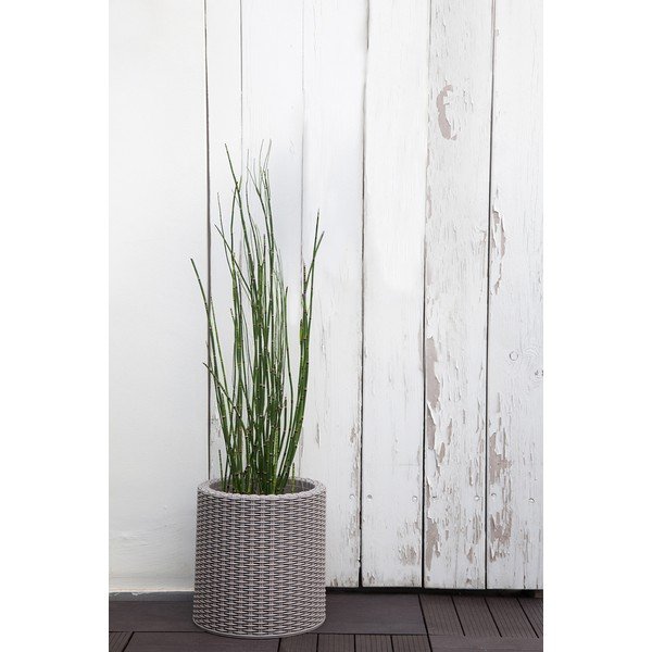 Plastový kvetináč ø 28 cm Cylinder – Keter-image-1