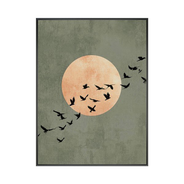 Tlačený obraz s rámom 60x80 cm Midnight Flight – Styler