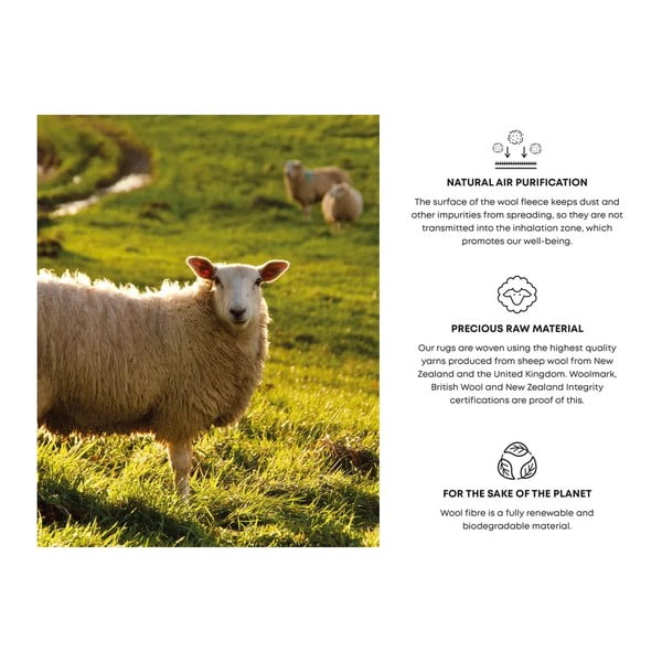 Svetlosivý vlnený koberec 240x340 cm Talwin – Agnella-image-4