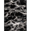 Čierno-biely koberec 200x280 cm Avanti – FD