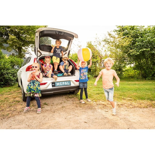 Detský desiatový box s fliaš Flowers &amp; butterflies – Mepal-image-1