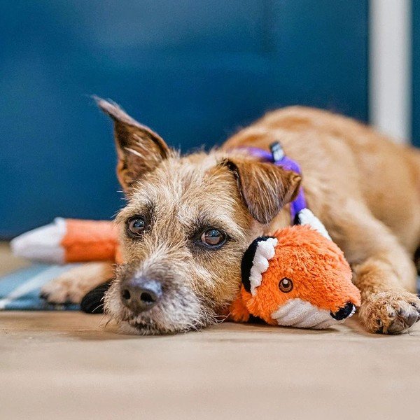 Hračka pre psa Líška – P.L.A.Y.-image-1