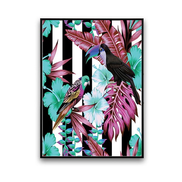 Plagát s papagájmi, čierno-biele pozadie, 30 x 40 cm