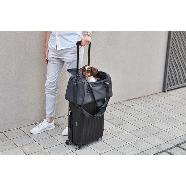 Prepravná taška pre psa 28x55 cm Volata Asphalt S/M – MiaCara-image-2