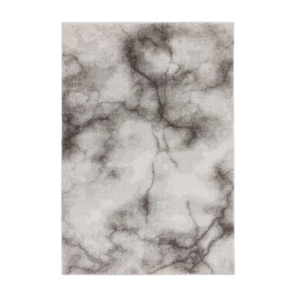 Sivý koberec 160x230 cm Dream – Asiatic Carpets
