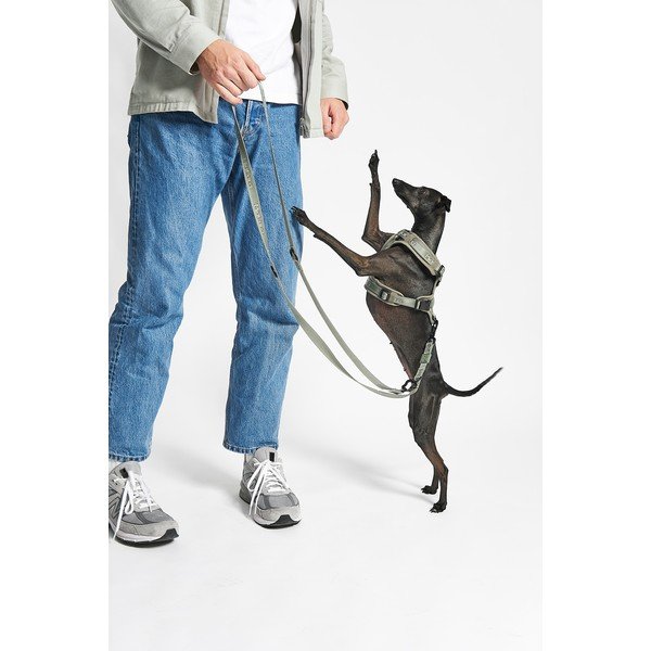 Zelený postroj veľkosť XS dĺžka 25 cm Modena Grolive XS – MiaCara-image-2