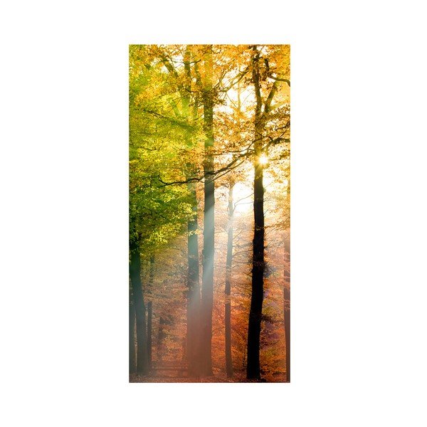 Veľkoformátová tapeta Forest Lights-image-2