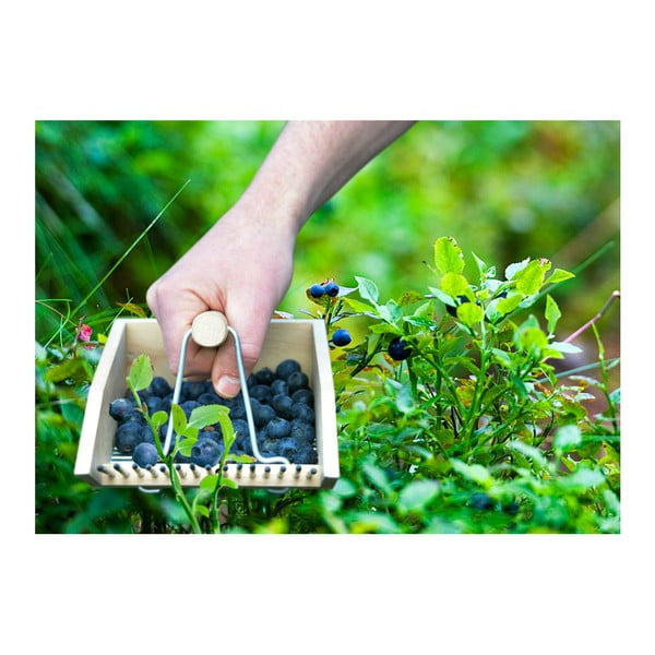 Česač čučoriedok z bukového dreva Esschert Design Pond-image-2