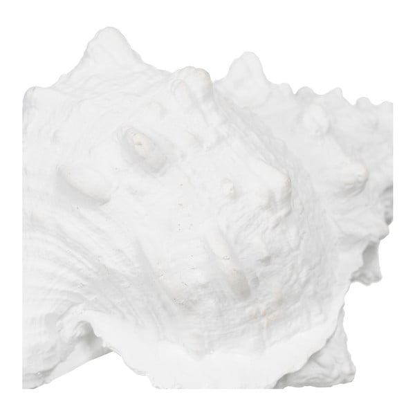 Soška z polyresínu (výška 12 cm) Seashell – Ixia-image-1