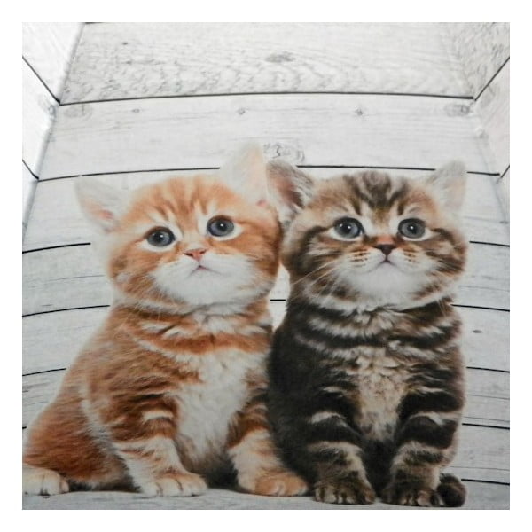 Dáždnik Scaffold Wood Kittens Red-image-1