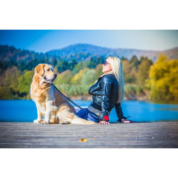 Zelená vôdzka veľkosť L 3 Neon – Lishinu-image-4