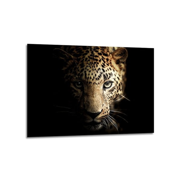 Sklenený obraz 100x70 cm Leopard - Styler-image-1