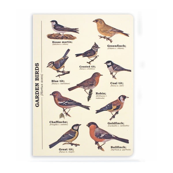 Zápisník Gift Republic Garden Birds, veľ. A5