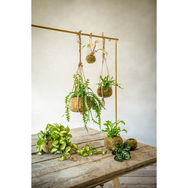 Kvetináč ø 20 cm Kokedama – Esschert Design-image-2