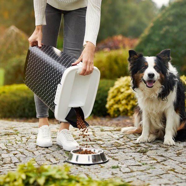 Čierny box na granule 25 l Cody - Rotho-image-2