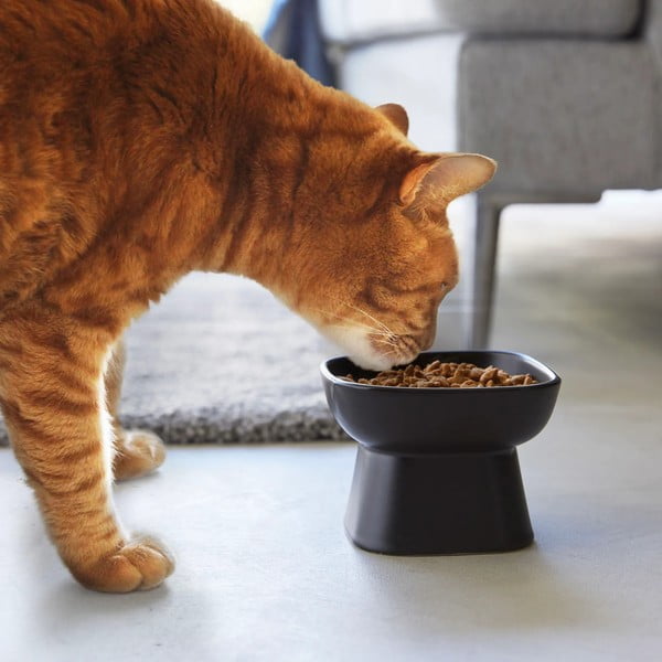 Keramická miska pre domáceho maznáčika Tower – YAMAZAKI-image-1