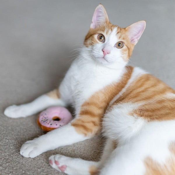 Hračky pre mačku v súprave 3 ks Donuts – P.L.A.Y.-image-2