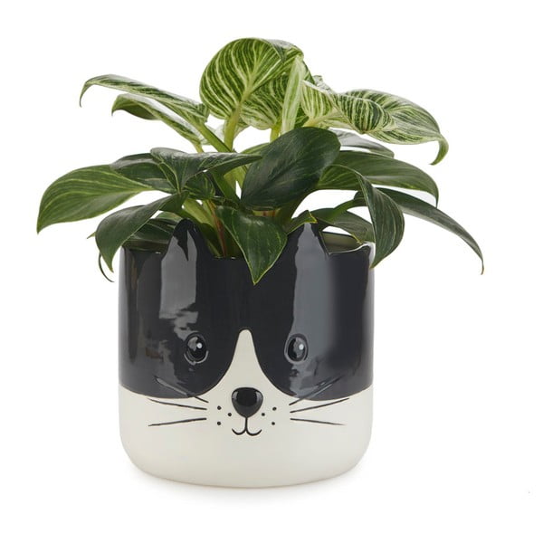 Keramický kvetináč ø 13,5 cm Kitty – Balvi-image-1