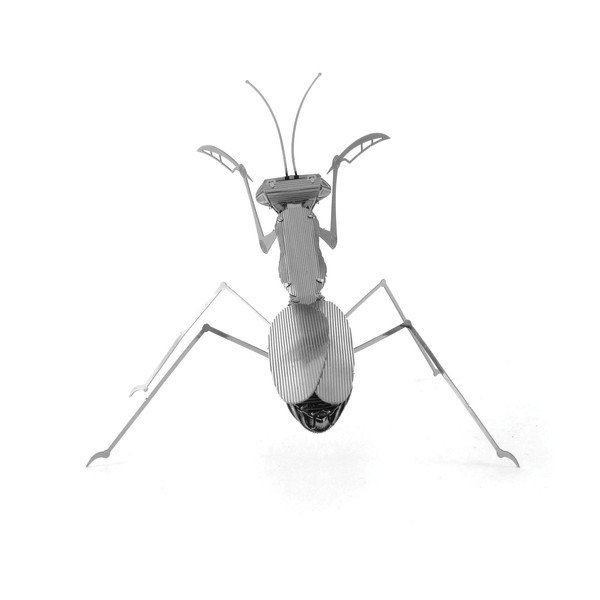Model Praying Mantis-image-1