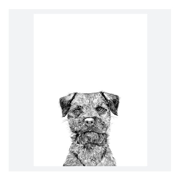 Plagát Baxter The Border Terrier, 30x40 cm