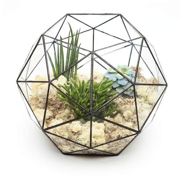 Terárium s rastlinami Super Aztec Hexagon