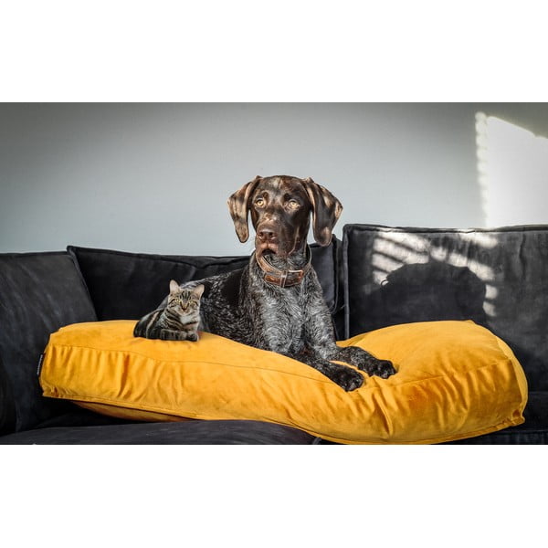 Žltý matrac pre psa 80x55 cm – Madison-image-1