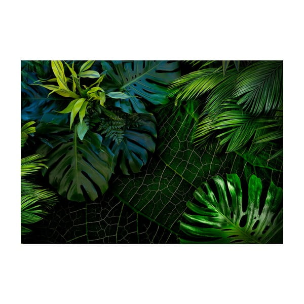 Veľkoformátová tapeta Artgeist Dark Jungle, 200 x 140 cm
