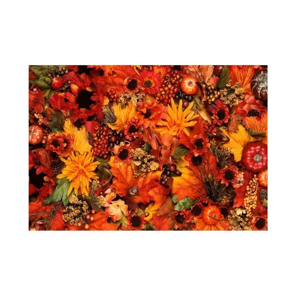 Predložka Zerbelli Margo, 75 × 52 cm-image-3