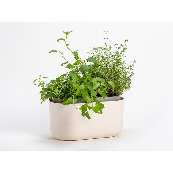 Béžový samozavlažovací kvetináč Plastia Tolita-image-1