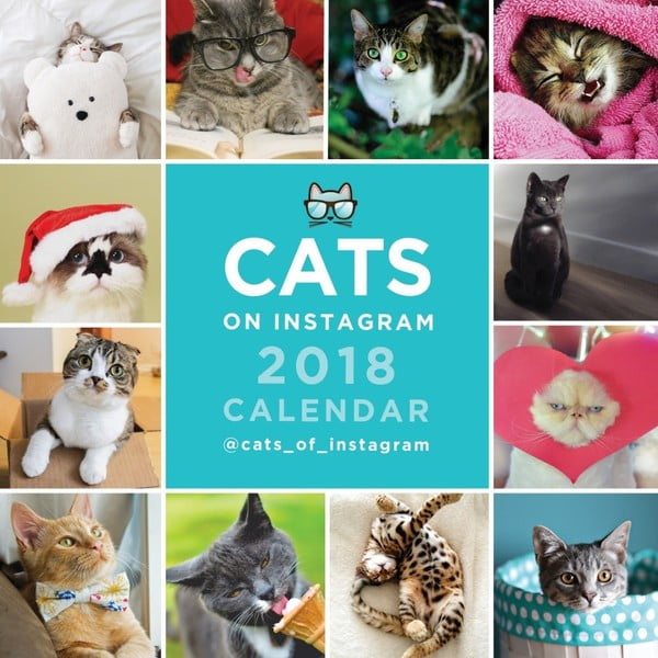 Malý nástenný kalendár na rok 2018 Portico Designs Cats On Instagram
