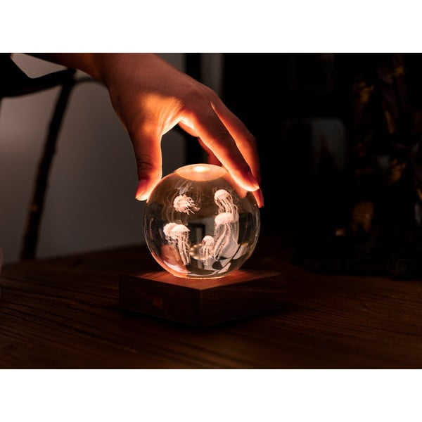 Tmavohnedá svetelná dekorácia na USB Amber – Gingko-image-4