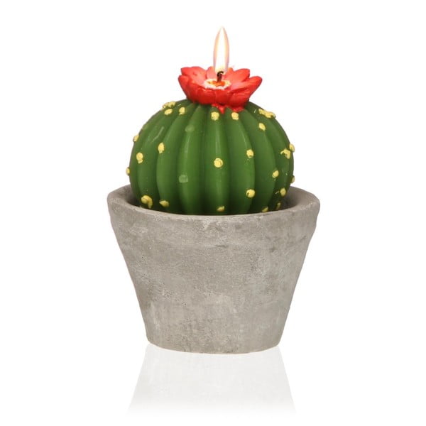 Dekoratívna sviečka v tvare kaktusu Versa Cactus Emia