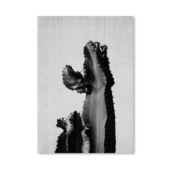 Plagát Cactus On Grey