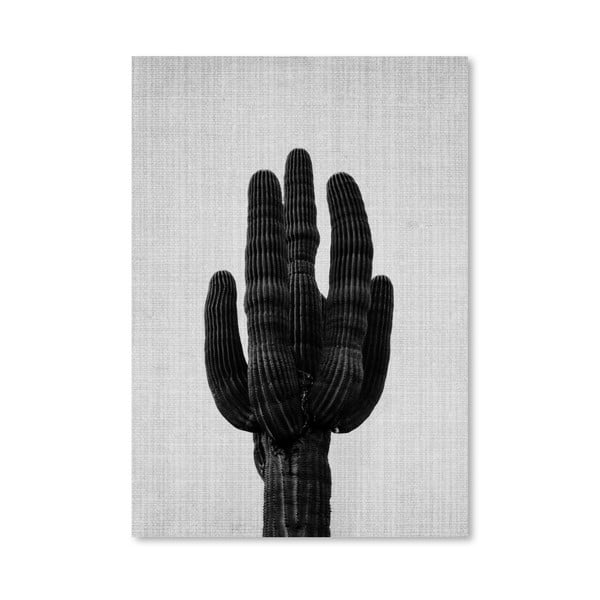 Plagát Cactus Grey