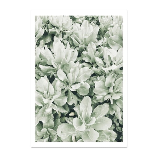 Plagát HF Living Botanic Greenery, 21 × 30 cm