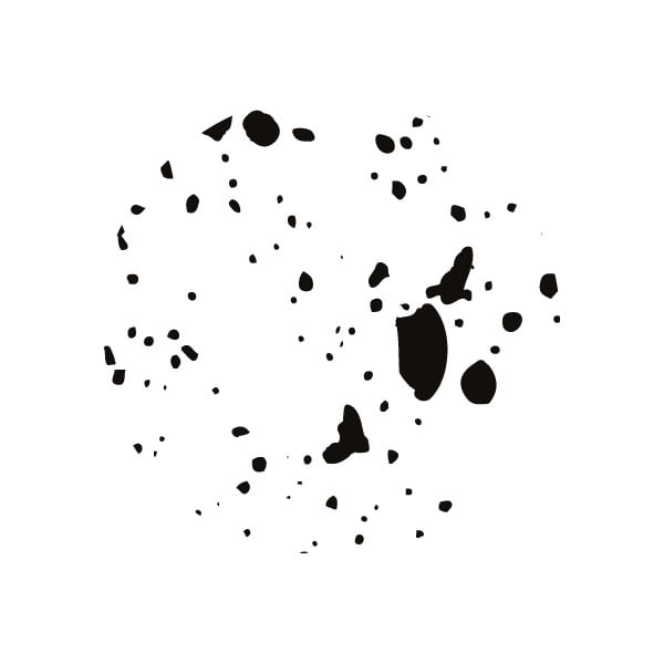 Čierno-biely zásuvkový box s 2 zásuvkami Bigso Box of Sweden Birger-image-4