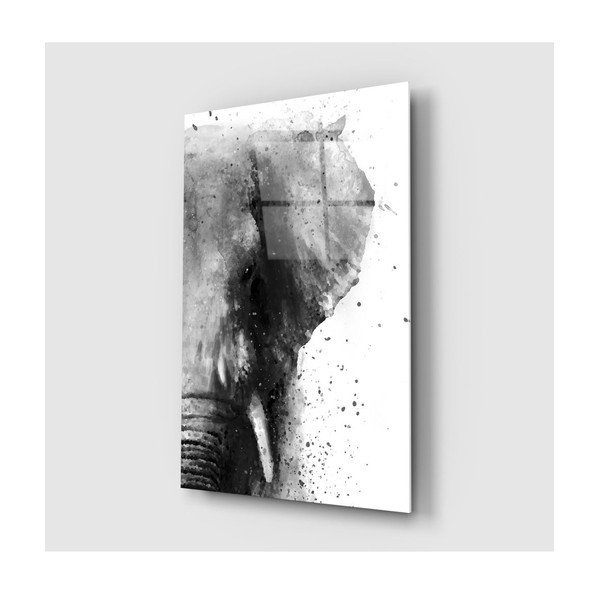Sklenený obraz Insigne Elephant, 46 x 72 cm
