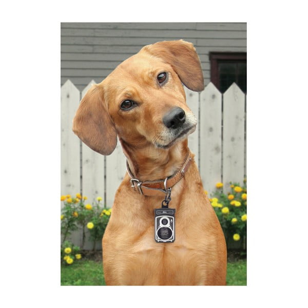 Dávkovač na sáčky na psie exkrementy Rolldog-image-1