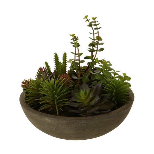 Umelý sukulent v kvetináči Premier Housewares Fiori-image-1
