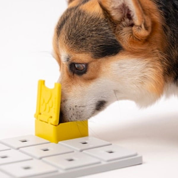 Hlavolam pre psov Base – Pawzler-image-1