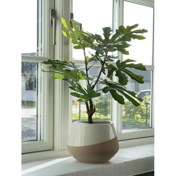 Umelá rastlina (výška  60 cm) Fig – House Nordic-image-1