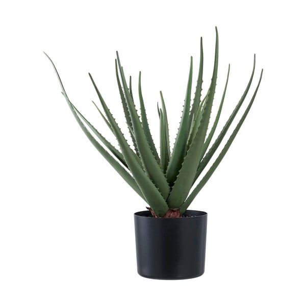 Umelá rastlina (výška 51 cm) Aloe Vera – House Nordic